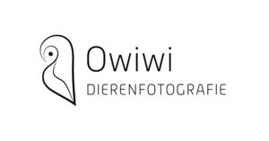 Owiwi Dierenfotografie