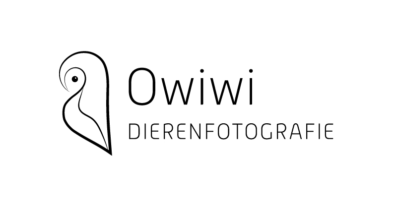 Owiwi Dierenfotografie Logo